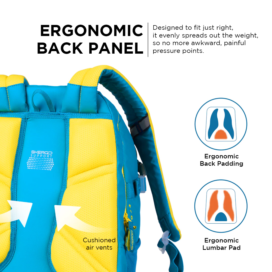 Ergo43 Classic - Sport Surge - Image 3