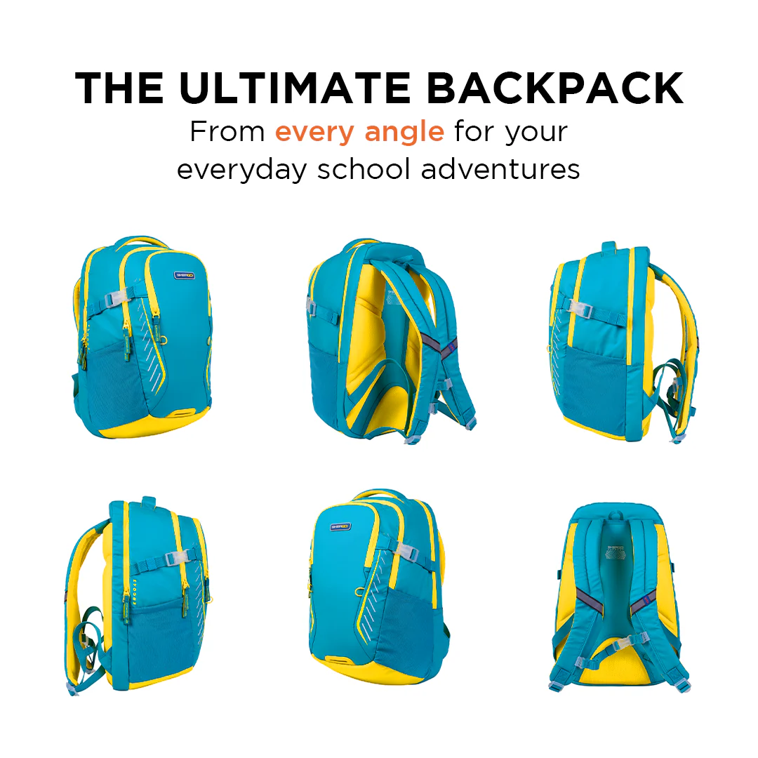 Ergo43 Classic - Sport Surge - Image 8