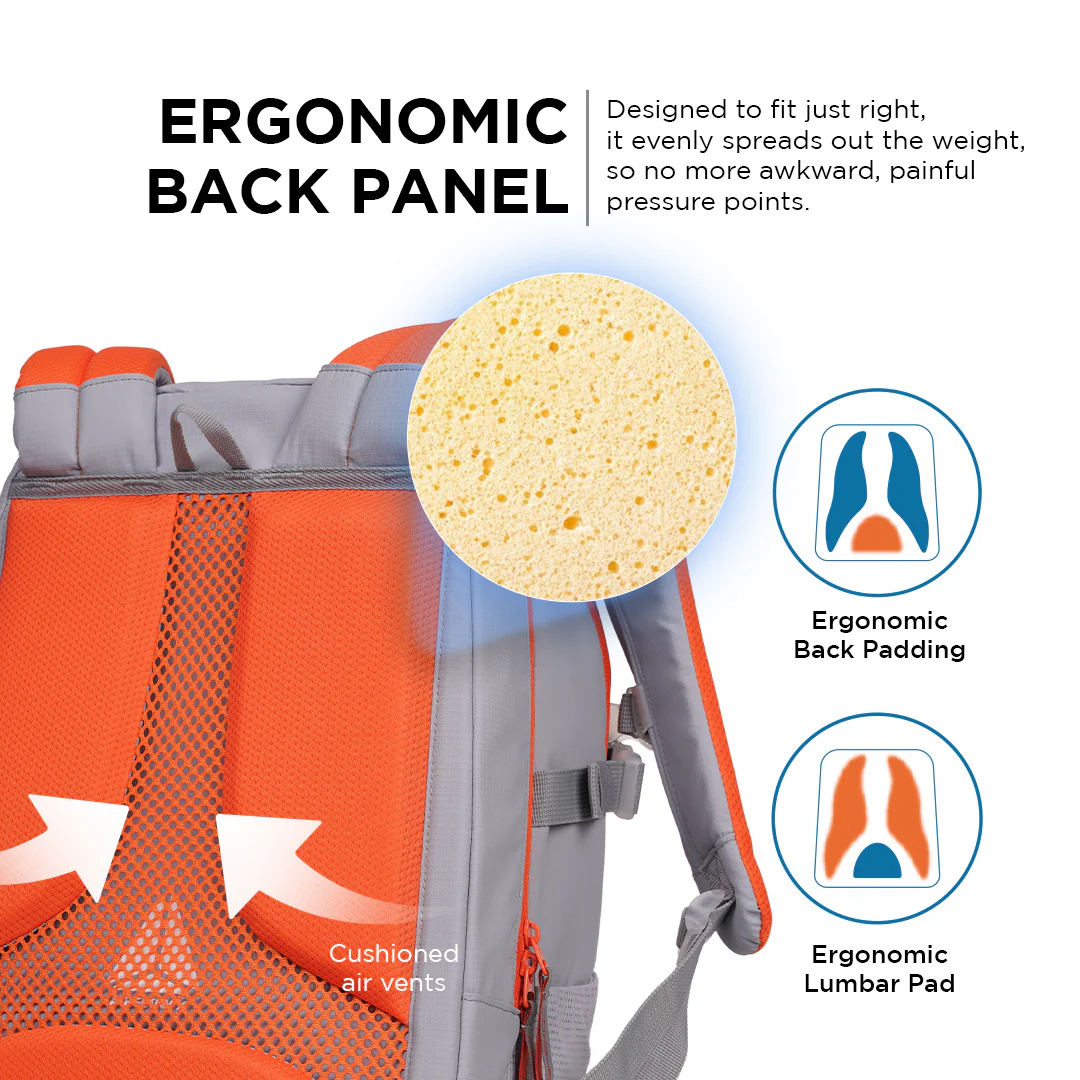 Ergo43 RS - Storm Rush - Image 3